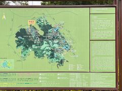 -阳台山森林公园