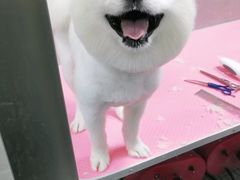 -宠福鑫康馨动物医院·骨科·眼科