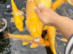 -下海庙