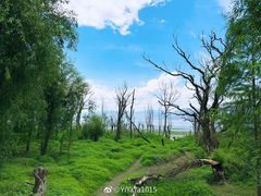 -大理洱海