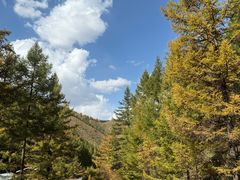 -苏木山森林公园