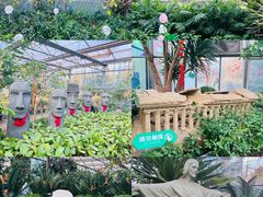 -南宫五洲植物乐园