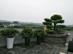 -亮宝楼国宴+文化陕菜