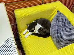 -路易时光(蕴川路店)