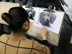 -黑骏画室·深圳美术中高考黄埔军校