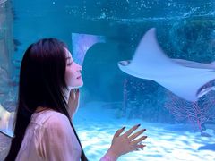 -沈阳海洋探索中心