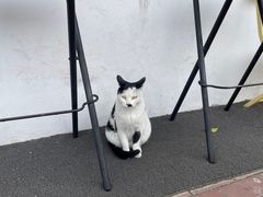 -云间粮仓