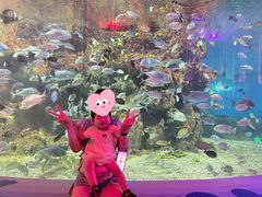 -沙沙哗啦海洋馆(华宇百花谷店)