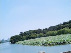 -西湖游船