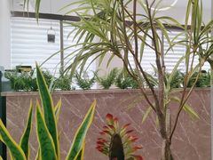 -西语·炭烧牛排(卓越中寰店)