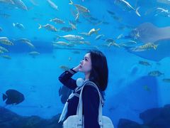 -重庆欢乐海底世界