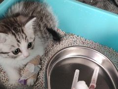 -北京恒爱动物医院(清景园分院)