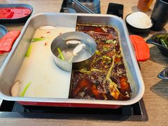 -新辣道鱼火锅(龙旗广场店)