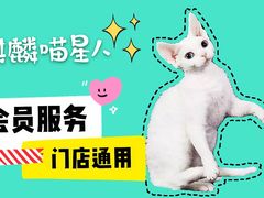-十年猫舍·猫咪专门店(普陀店)