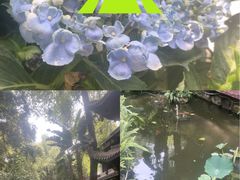 -大妙火锅·非物质文化遗产(东湖公园店)