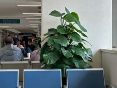 -首都医科大学附属北京同仁医院(南区)