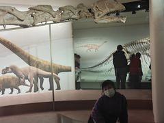 -自贡恐龙博物馆