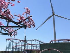 -龙里油画大草原旅游区