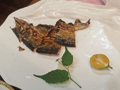 -黑松白鹿(金融街店)
