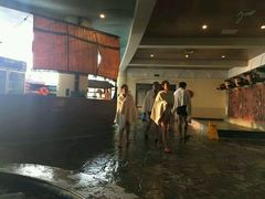 -仁爱团泊湖温泉中心