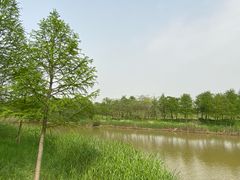 -宁波杭州湾国家湿地公园
