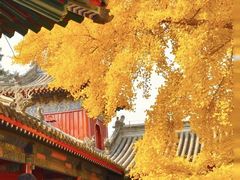 -承恩寺