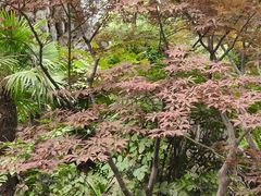 -南京市民俗博物馆(甘熙故居)