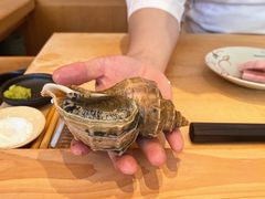 -银座岩