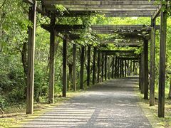 -九龙潭景区