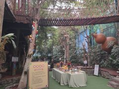 -呀路古热带植物园