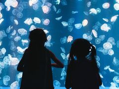 -海合安成都极地海洋公园