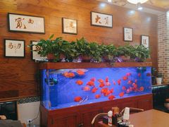 -张川人•甘肃天水麻辣烫(北医三院店)