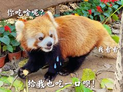 -北京野生动物园