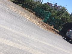 -塘径小院农家食府