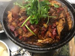 麻辣鲶鱼煲-川香煲(茅台路店)