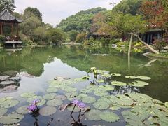 -云溪植物园
