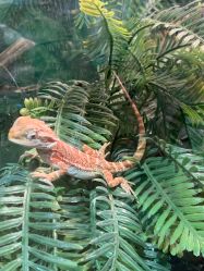 -酷嗒动物文化乐园(cutezoo西溪乐天城店)