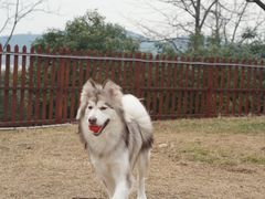 -联合动物医院(光谷诊疗中心)