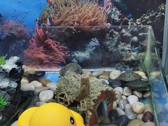 -大玩家(魏家庄万达店)