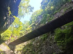 -牛背梁国家森林公园