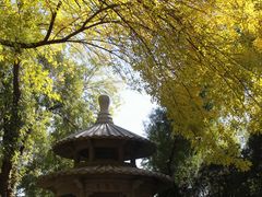 -玲珑塔公园