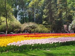 -西宁市人民公园(城西区)