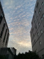 -上海交通大学医学院附属上海儿童医学中心(陆家嘴总院区)