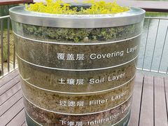 -渤公岛生态公园