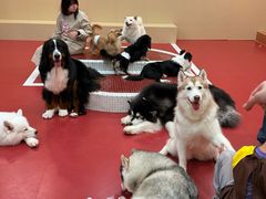 -和它·交个朋友·狗咖猫咖(爱琴海店)