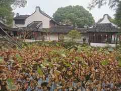 -上海醉白池公园