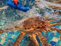 -映像威海·威海宴(威高广场店)
