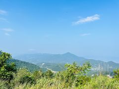 -武陵山森林公园