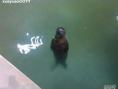 Photo-0204-绿色时代大酒店