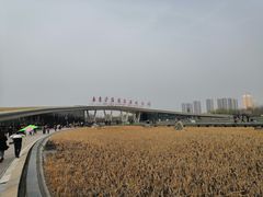 -西安浐灞国家湿地公园